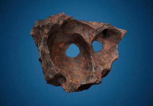 Gibbon Mask Meteorite